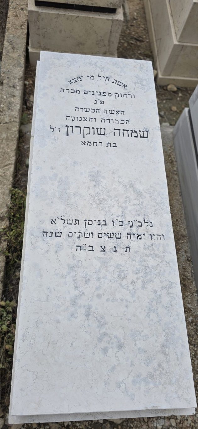 שיחזור מצבה